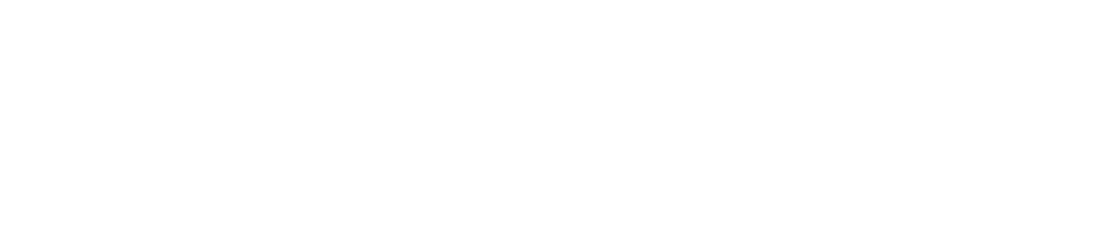 Al-Watania Information Technology Company